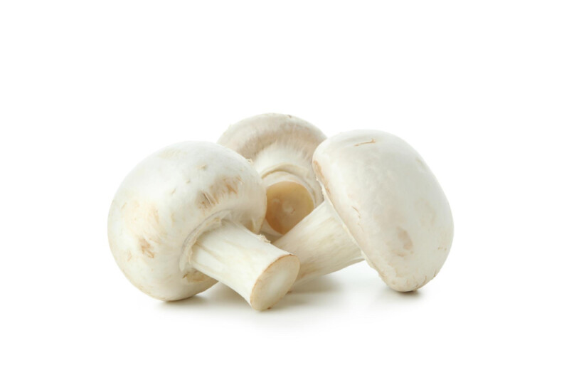 Champignons